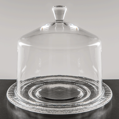 Small glass dome with plate