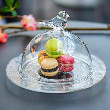 Cloche Vögeli mit Teller