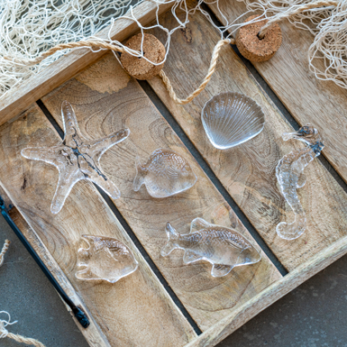 Sale Fish / Shell / Seahorse 50%